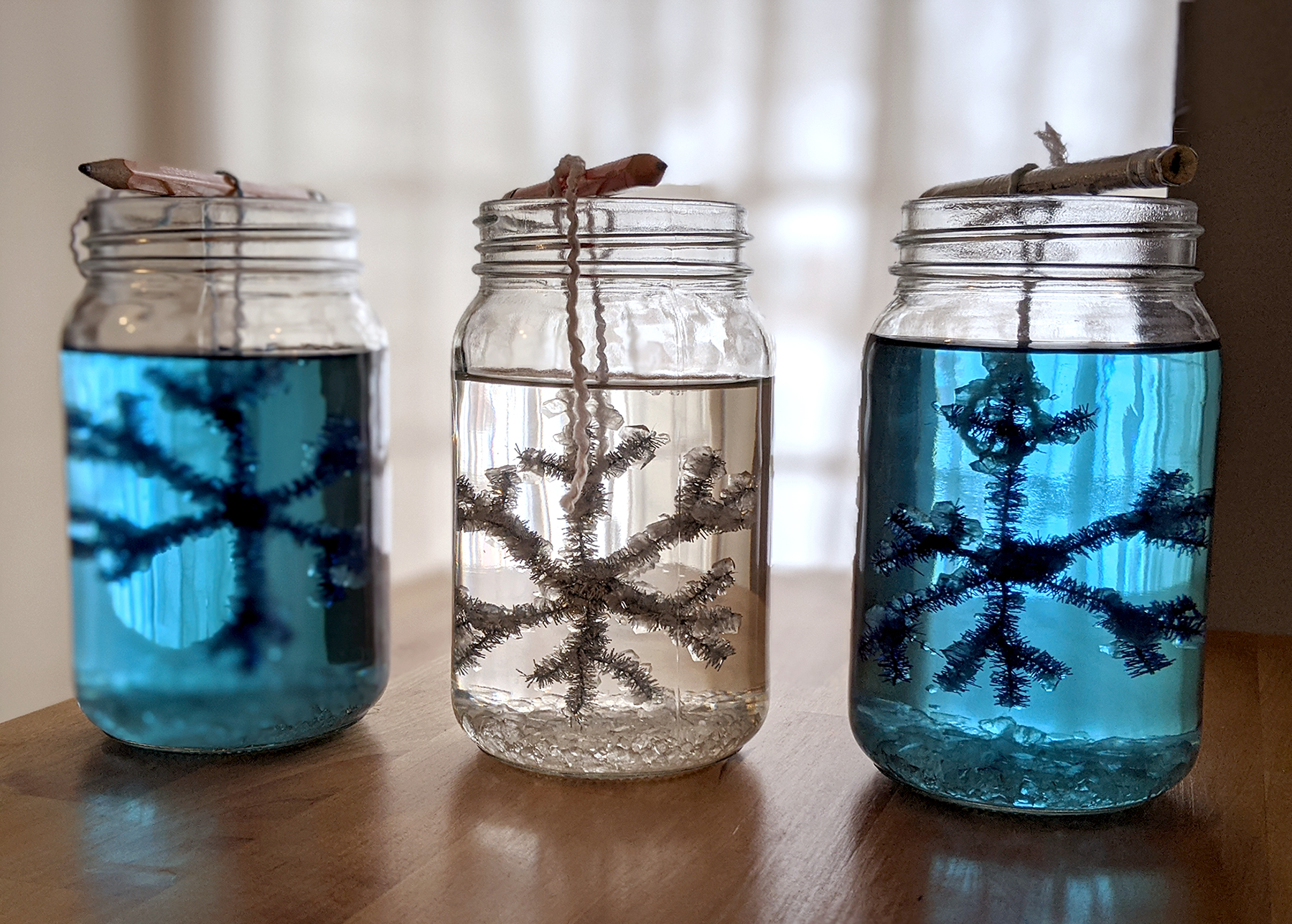 Winter STEM Activity