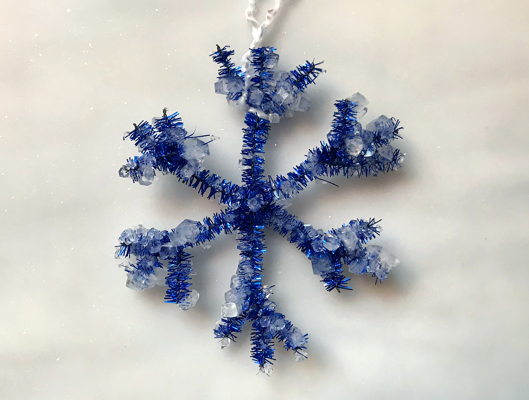 Seasonal Science Experiment