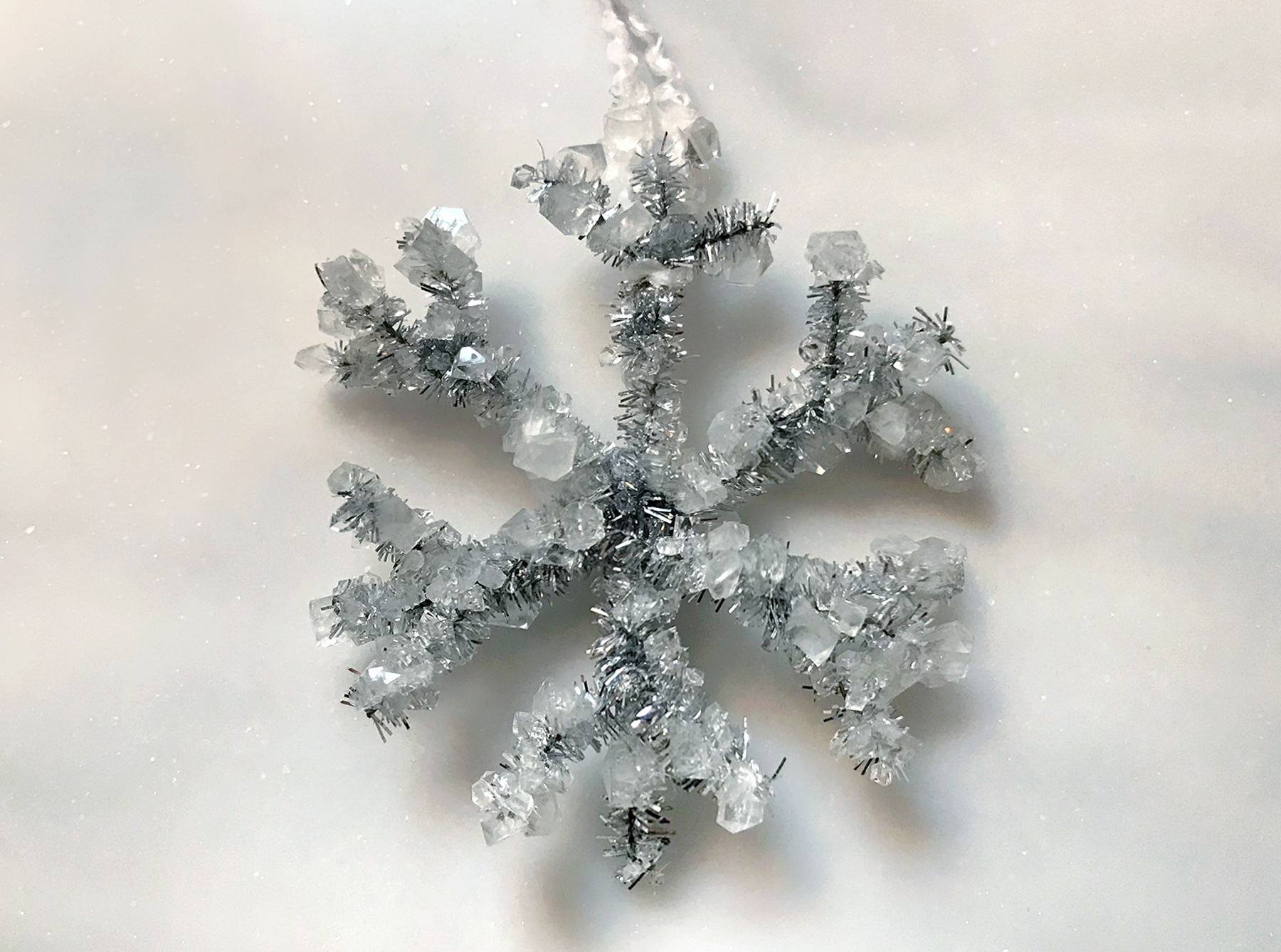 Winter Science Experiment