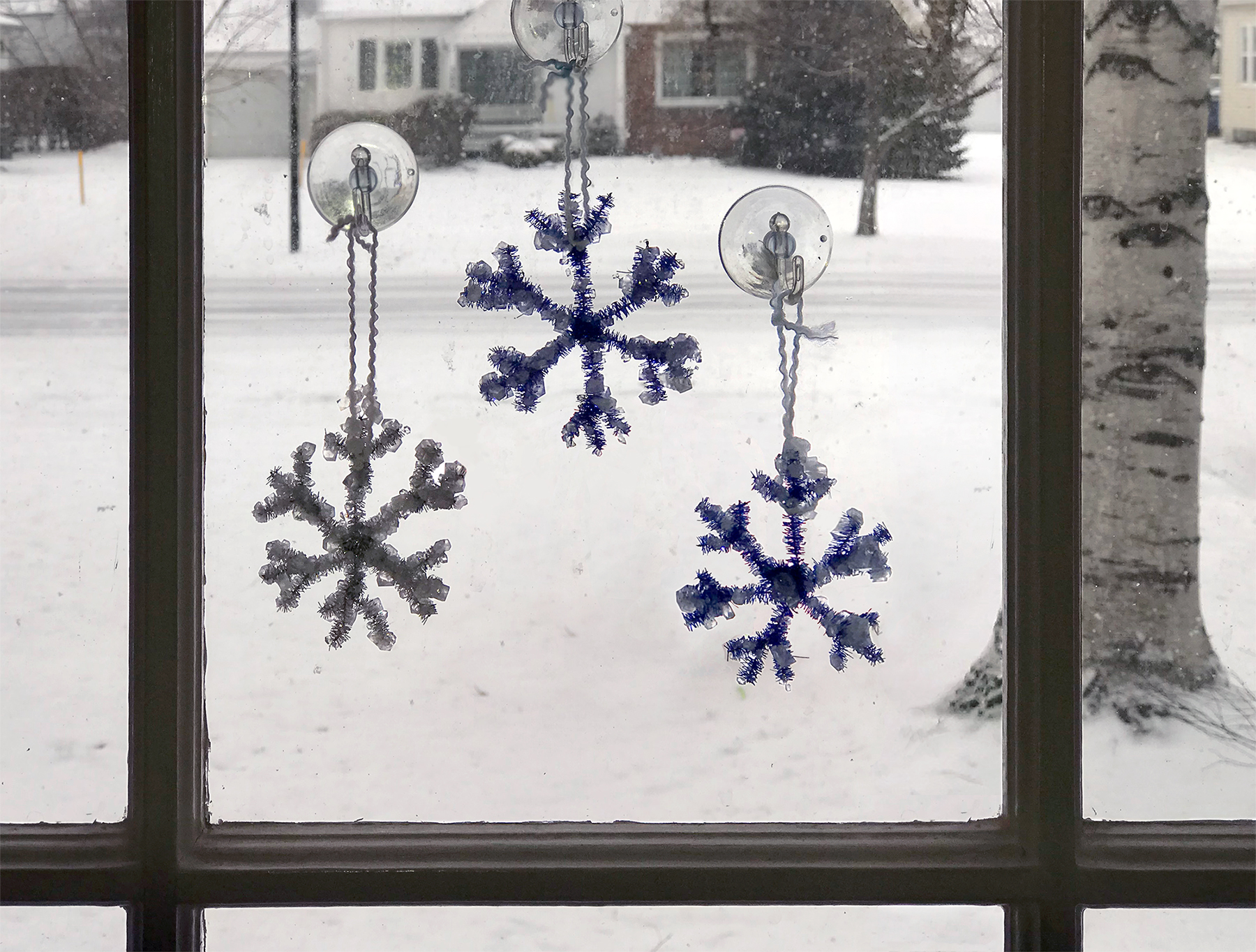 Seasonal Science Activity