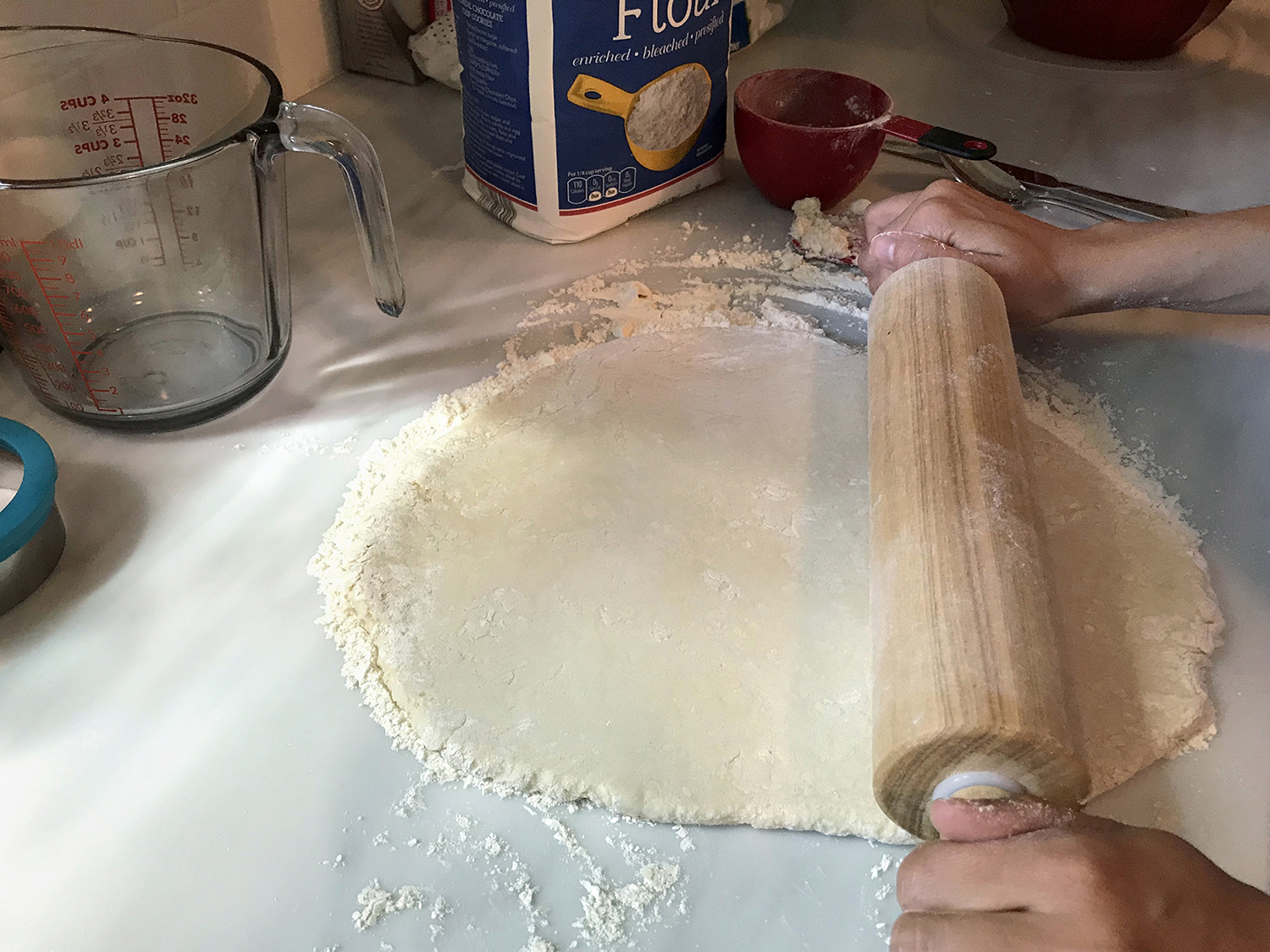 Elementary Science Activity
