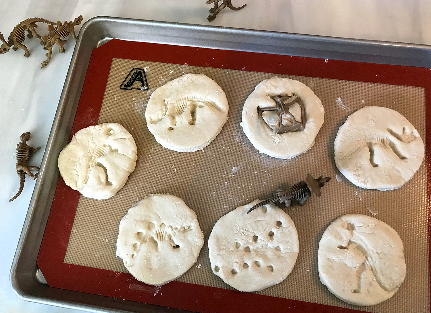 Salt Dough Fossil Fun