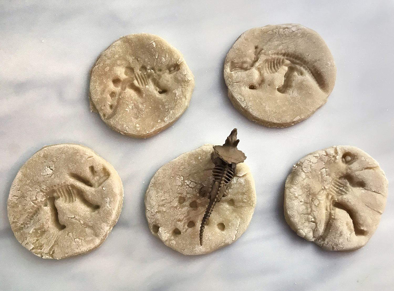 Salt Dough Dinosaur Fossils