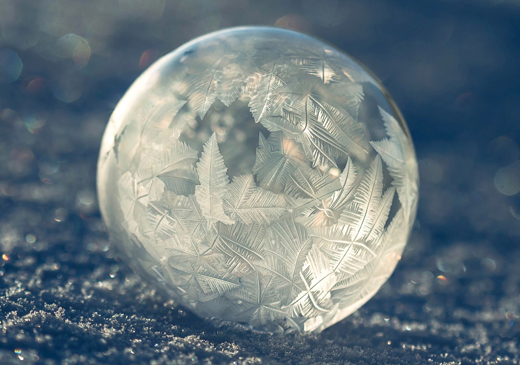 Winter Bubble Science Experiment