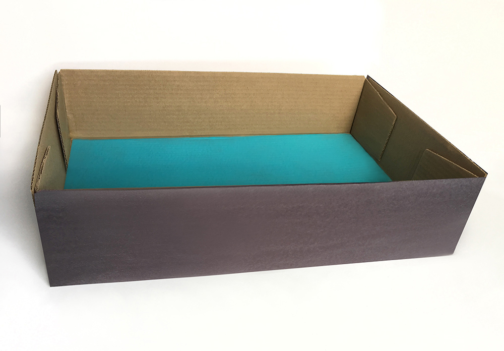 Landform Diorama Project