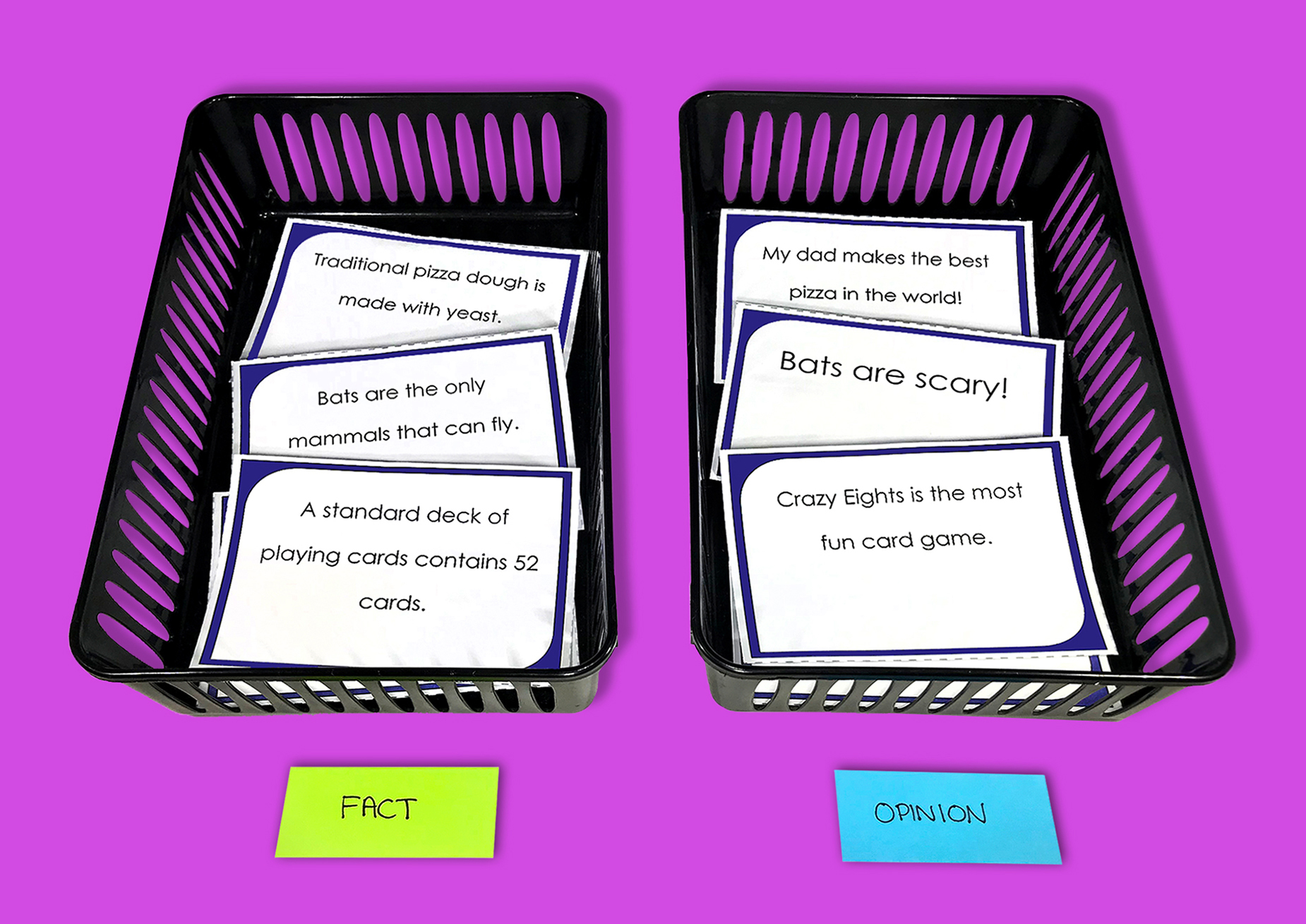 Fact and Opinion Sorting Activity