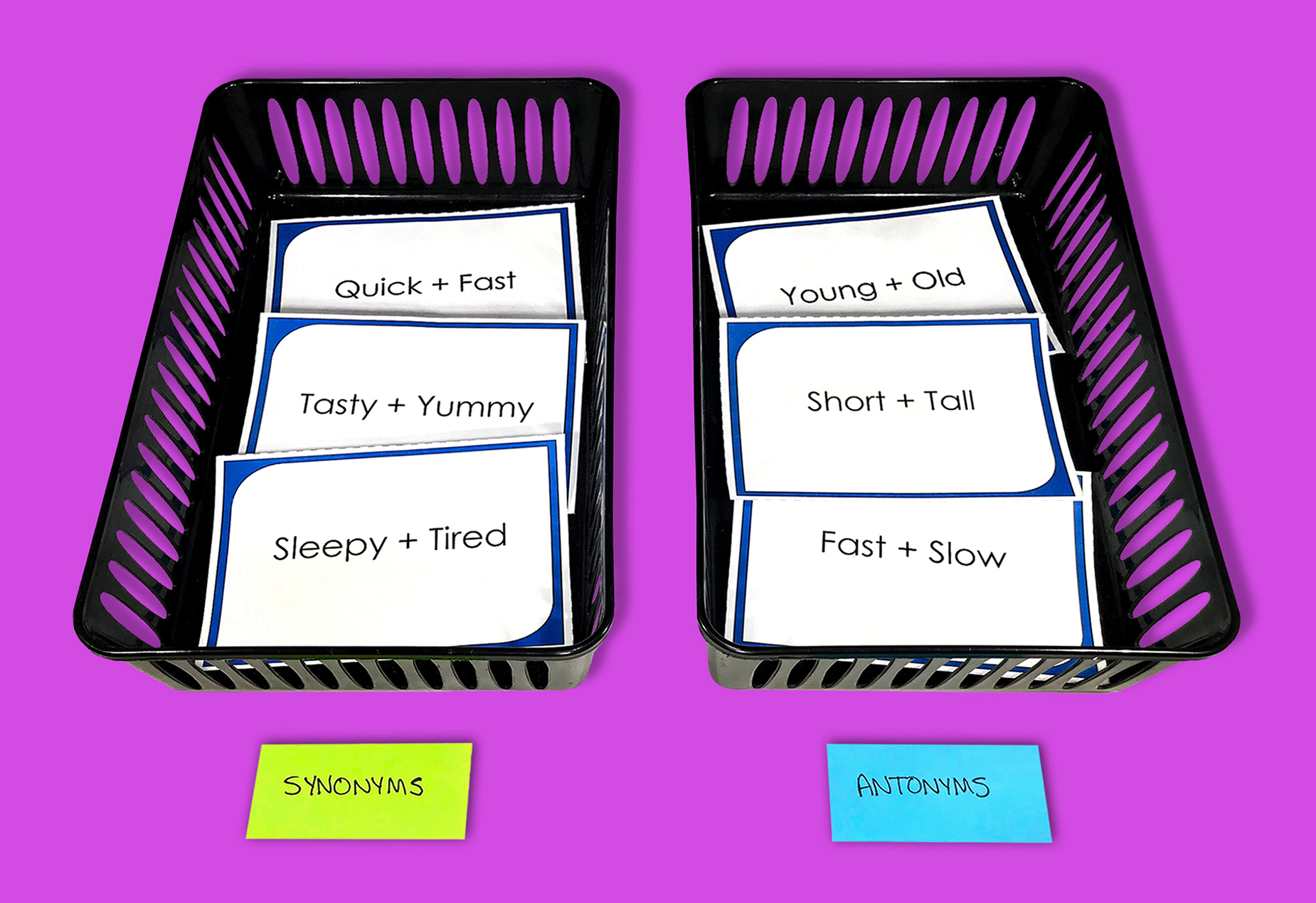 Synonyms and Antonyms Activity