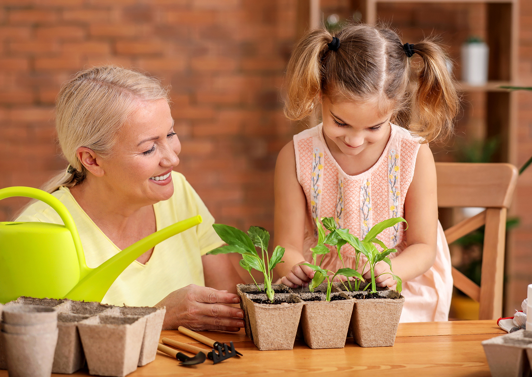Plant a Garden