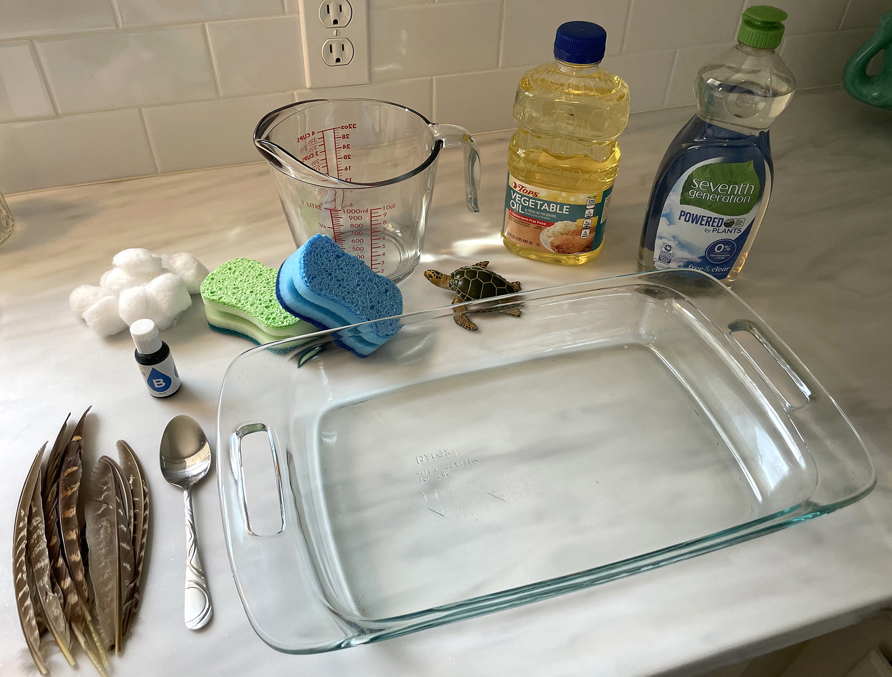 Oil Spill Science Experiment