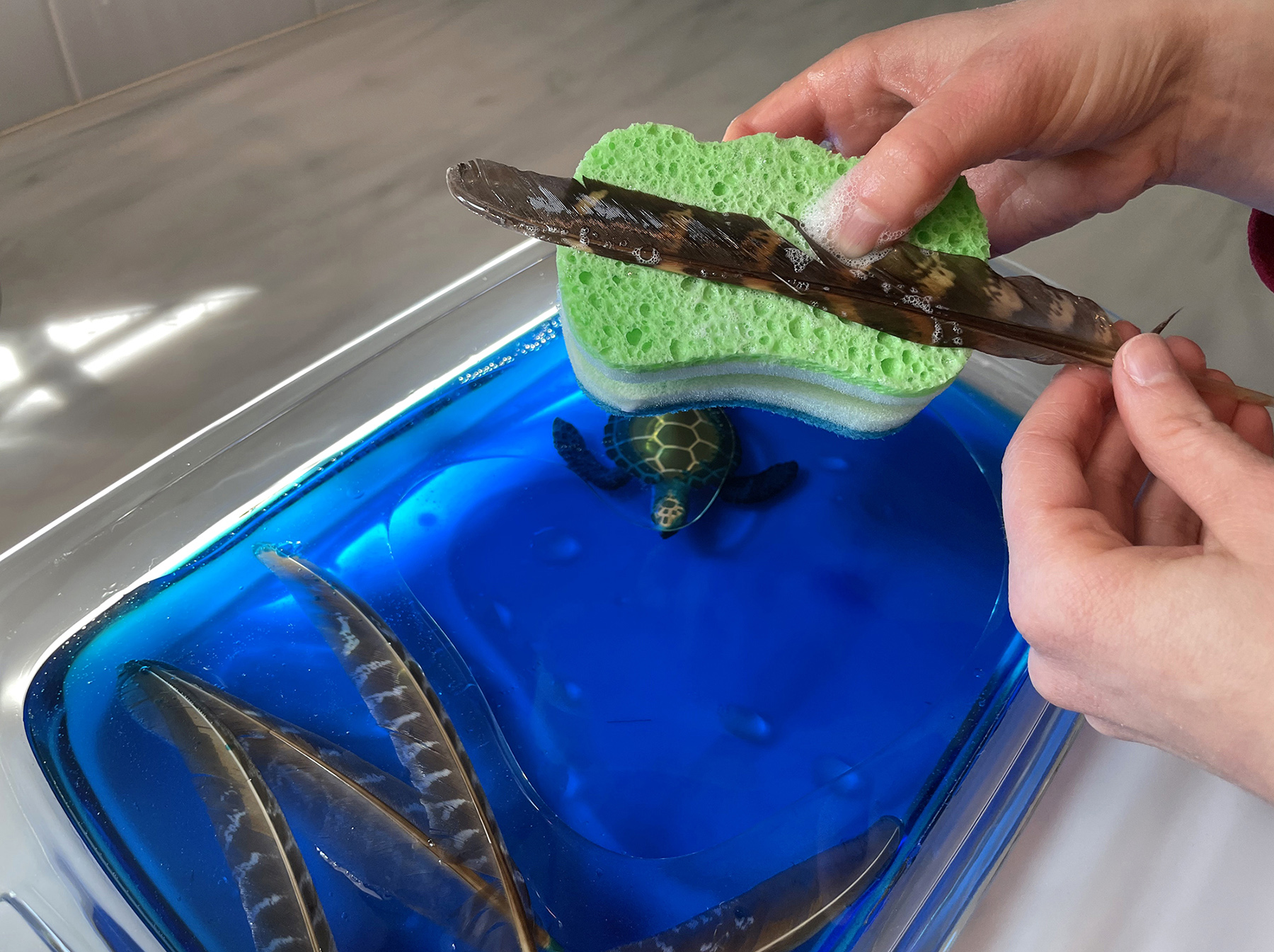 Earth Day Science