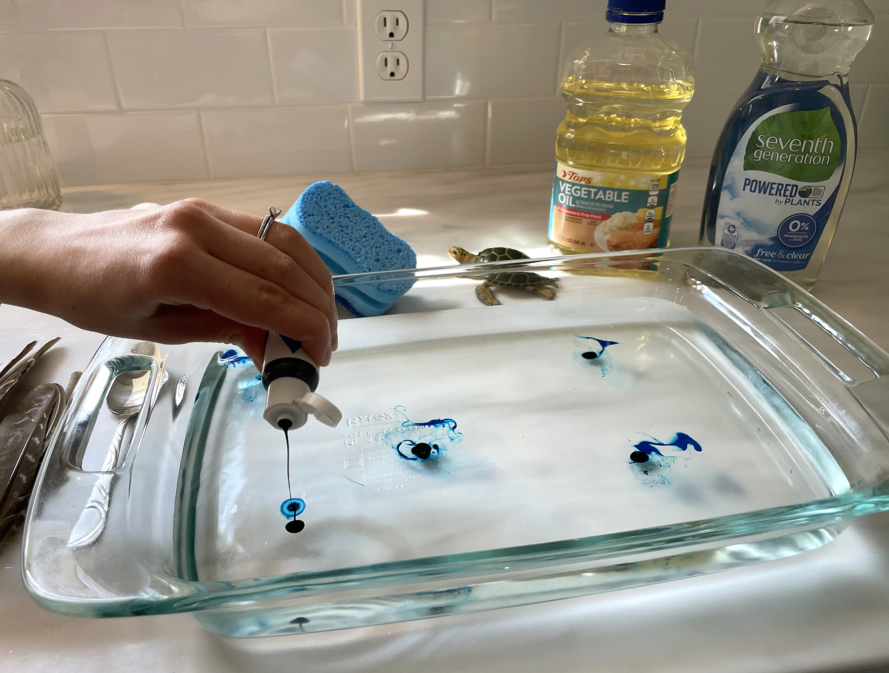 Environmental Science Activity