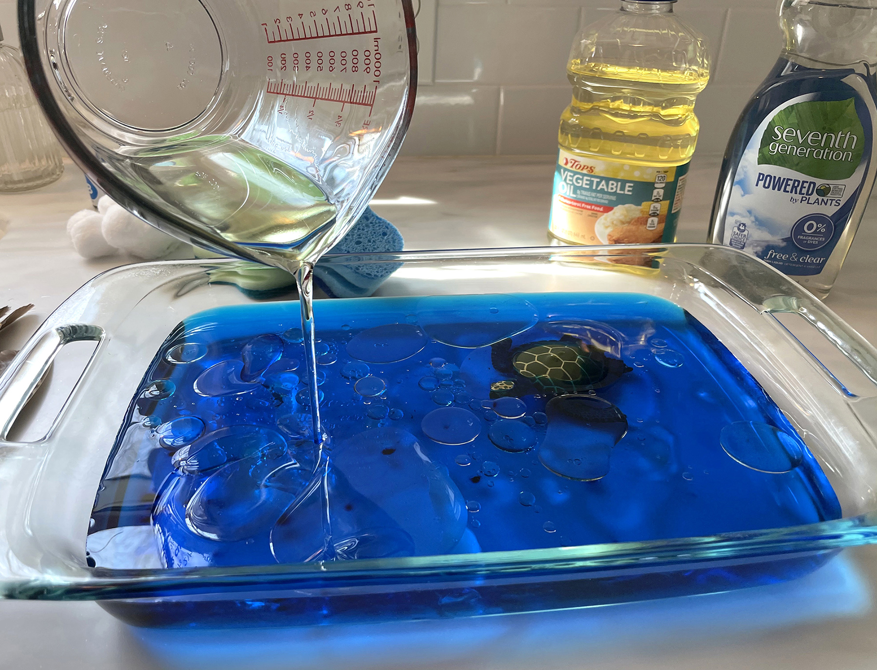 Environmental Disaster Experiment
