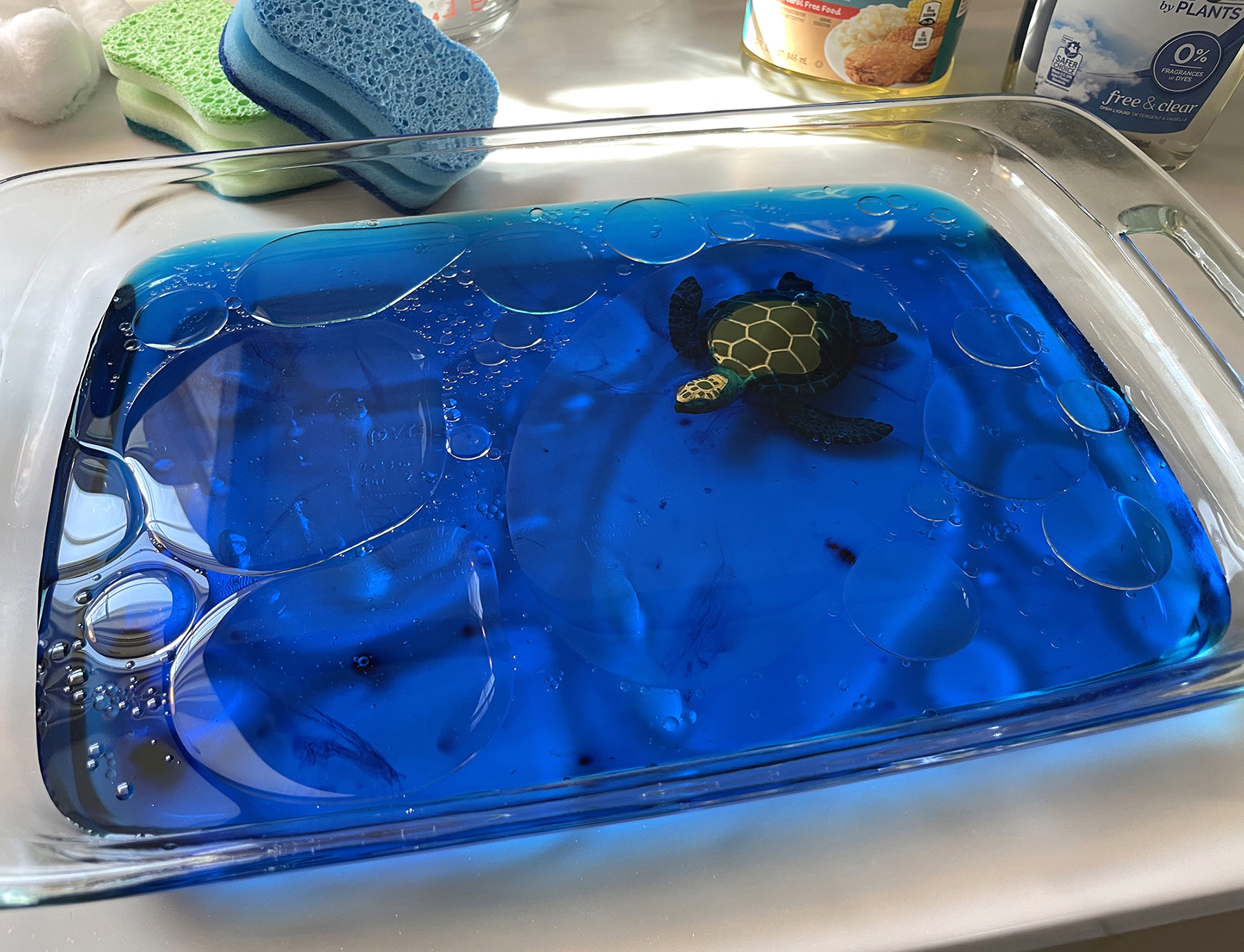 Oil Spill STEM Activity