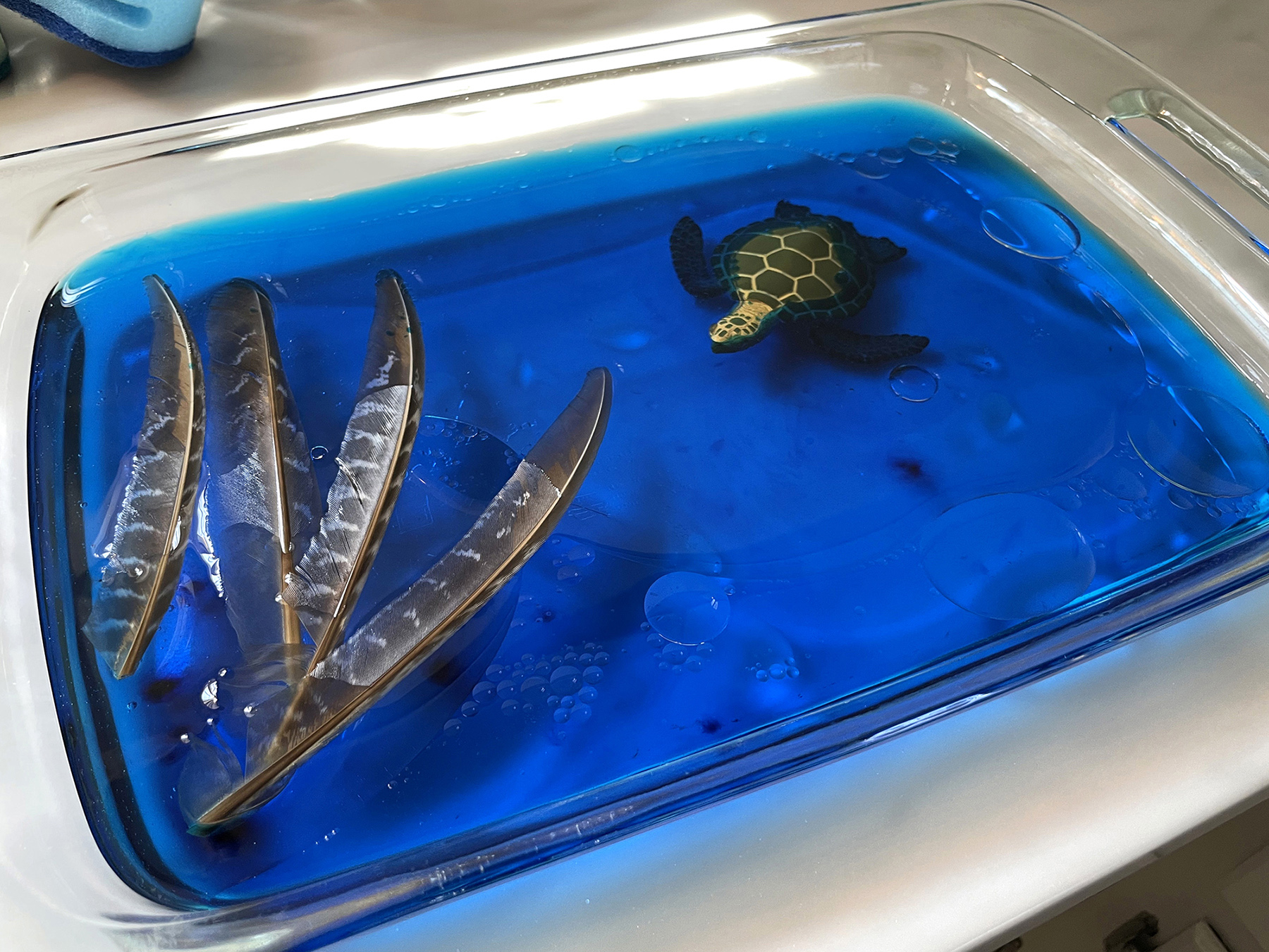 Oil Spill Environmental Science
