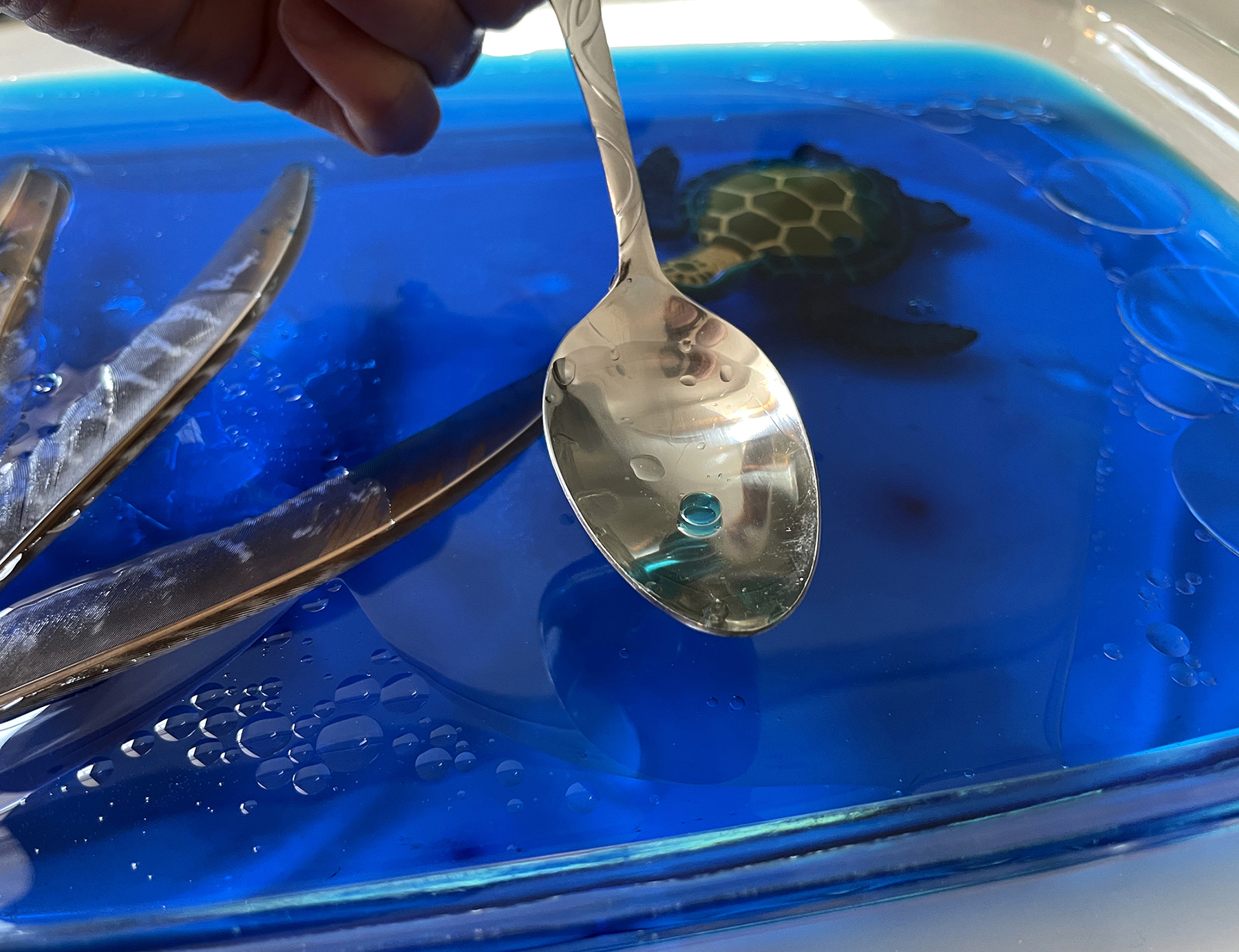 Earth Day STEM Challenge