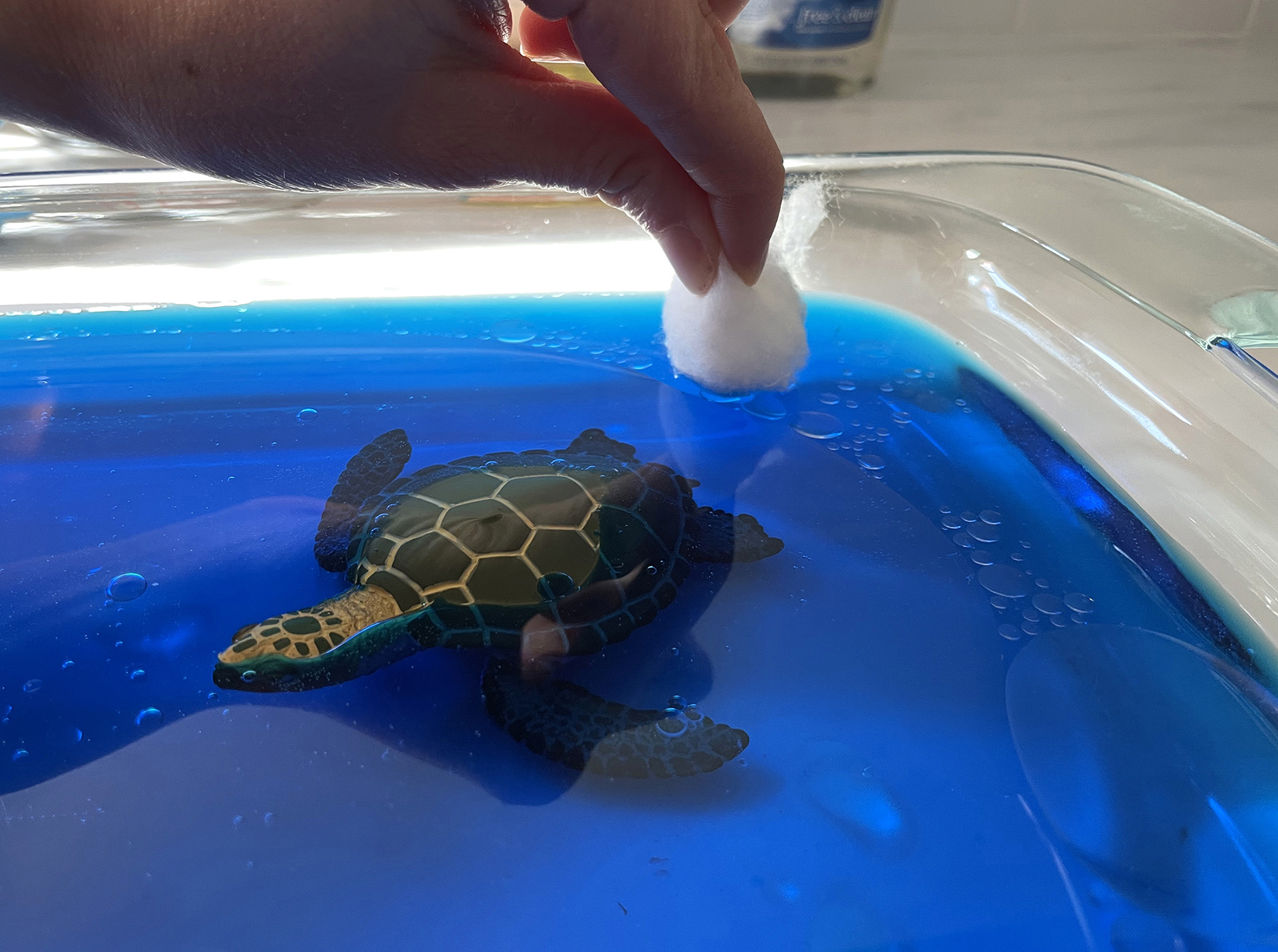 Learn About Oil Spills