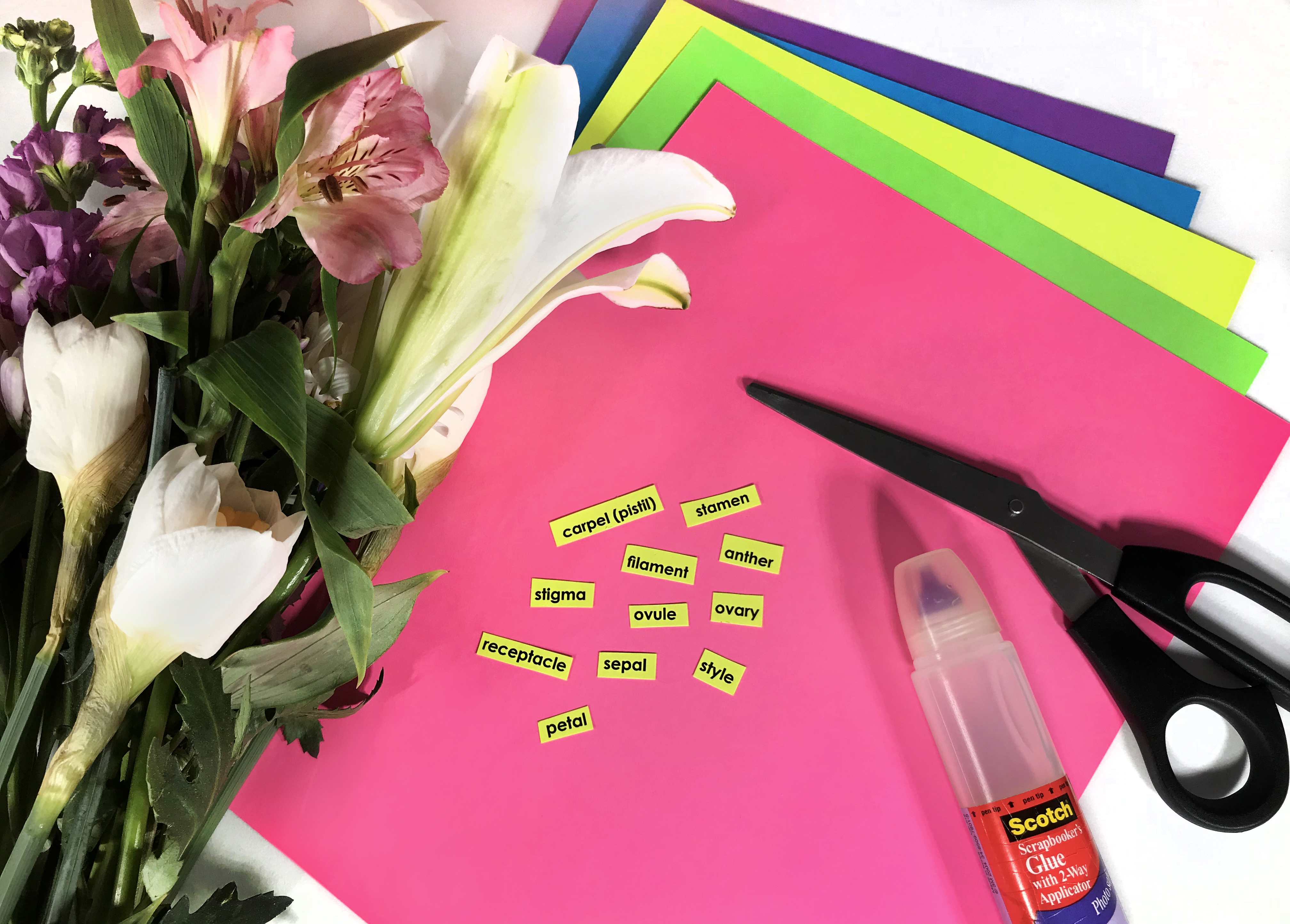 Flower Activity for Kids