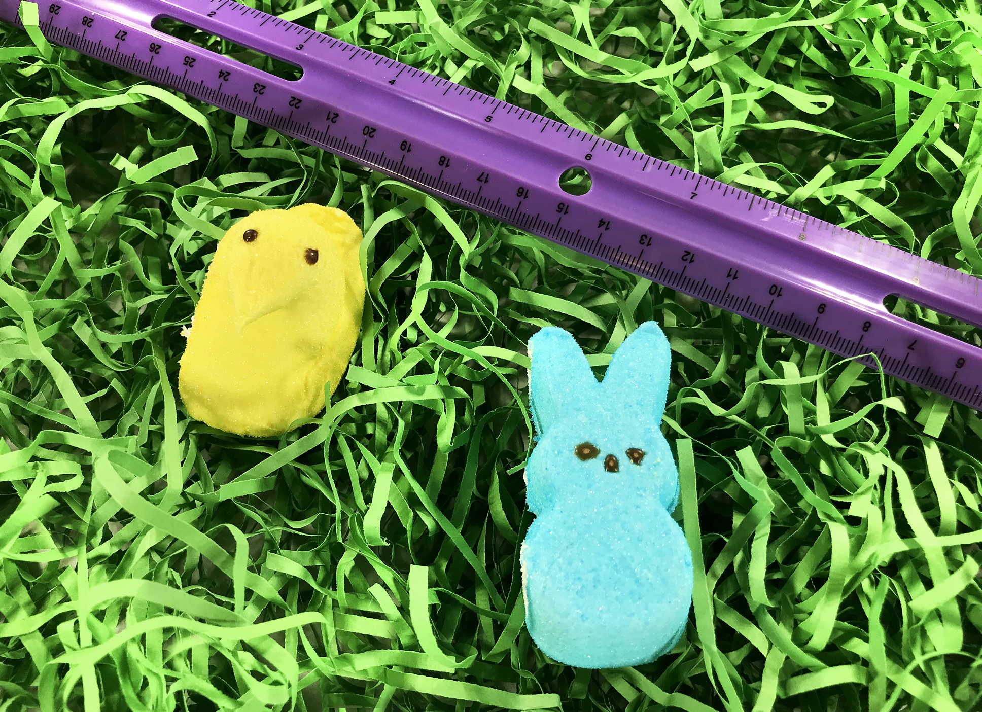 Peeps Science Activity