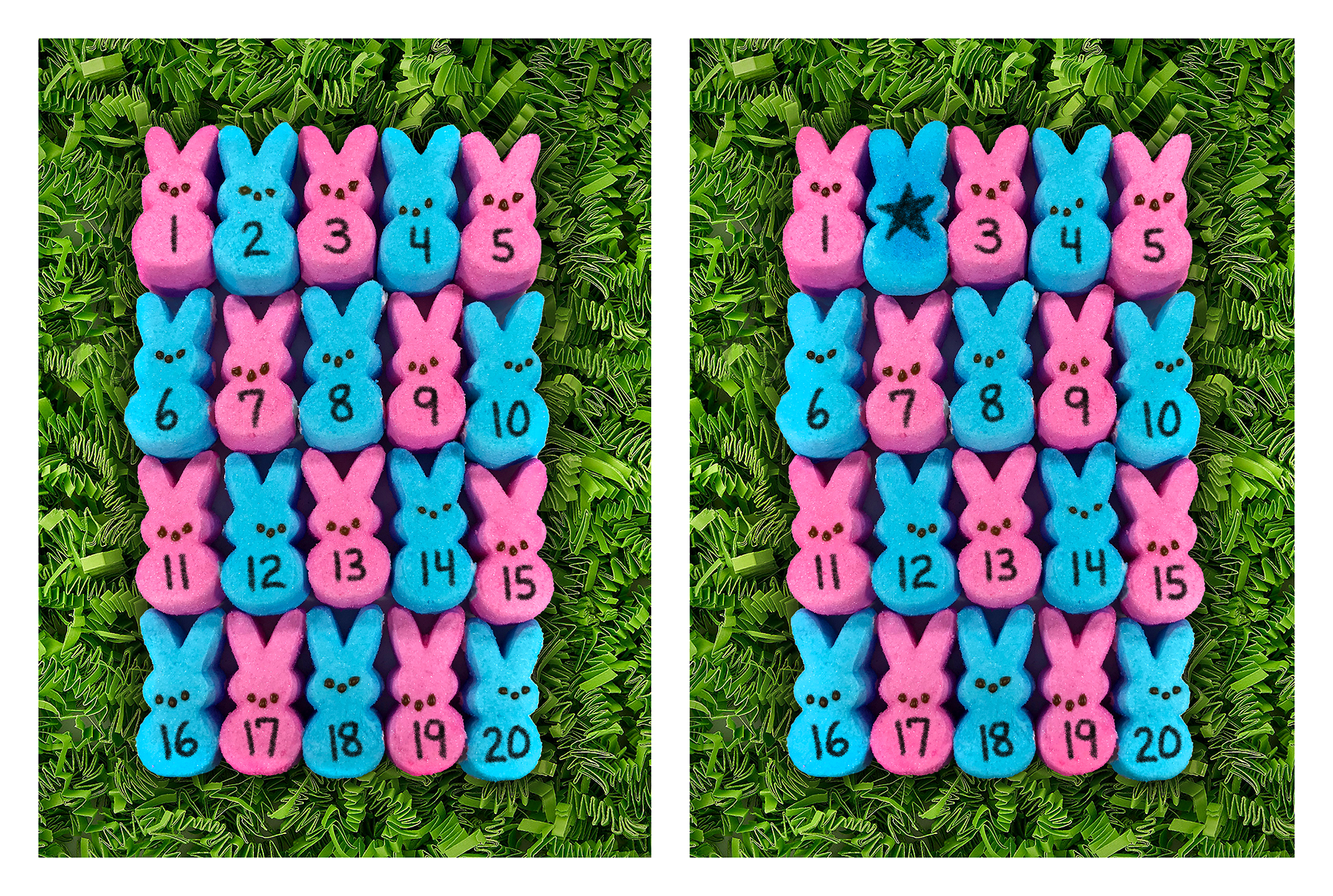 Peeps Math Activity