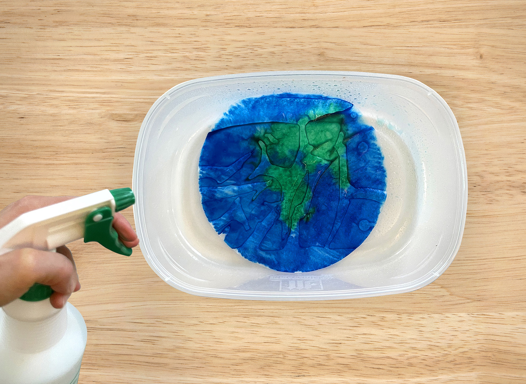 Earth Day Art Project