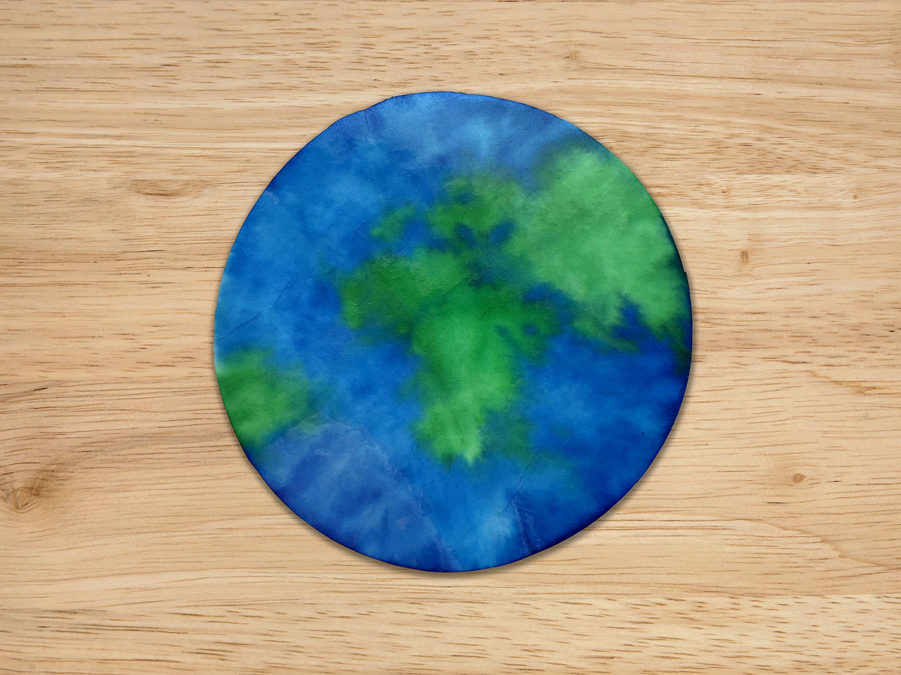 Earth Day Craft
