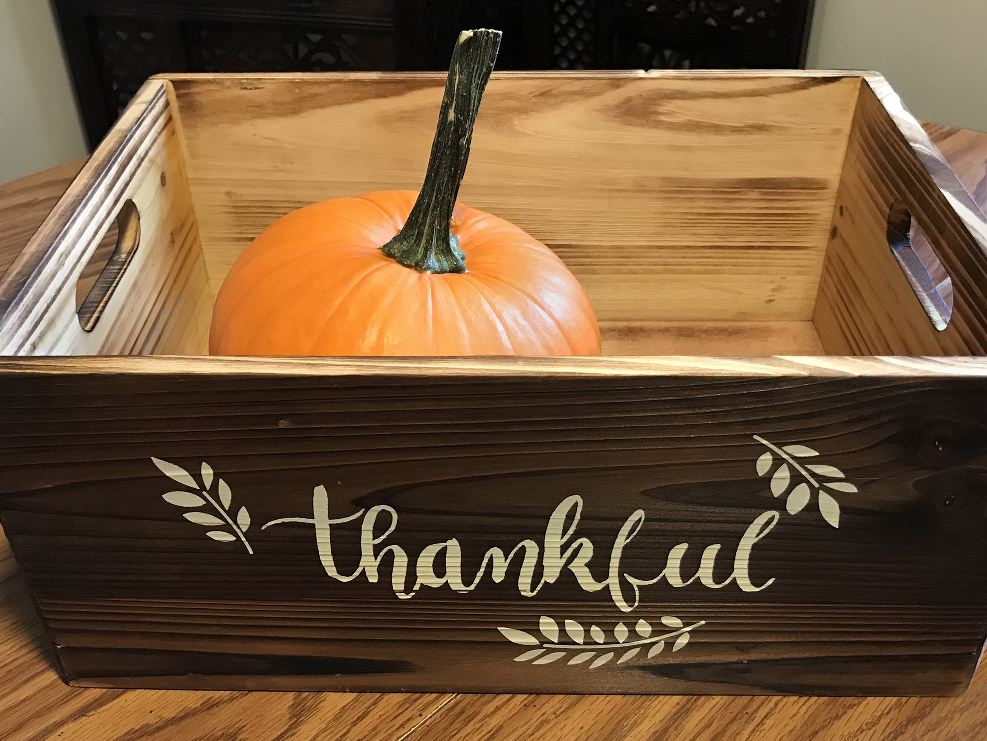 Seasonal Science Activity