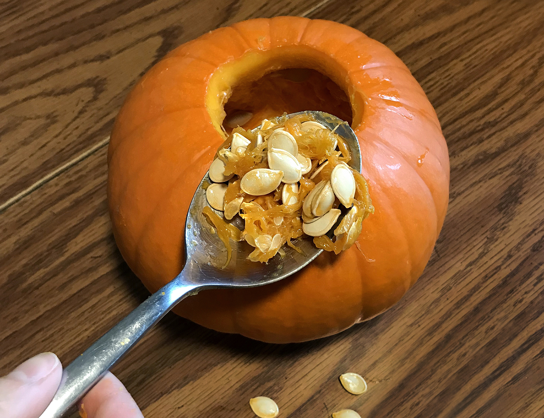 Autumn Activity