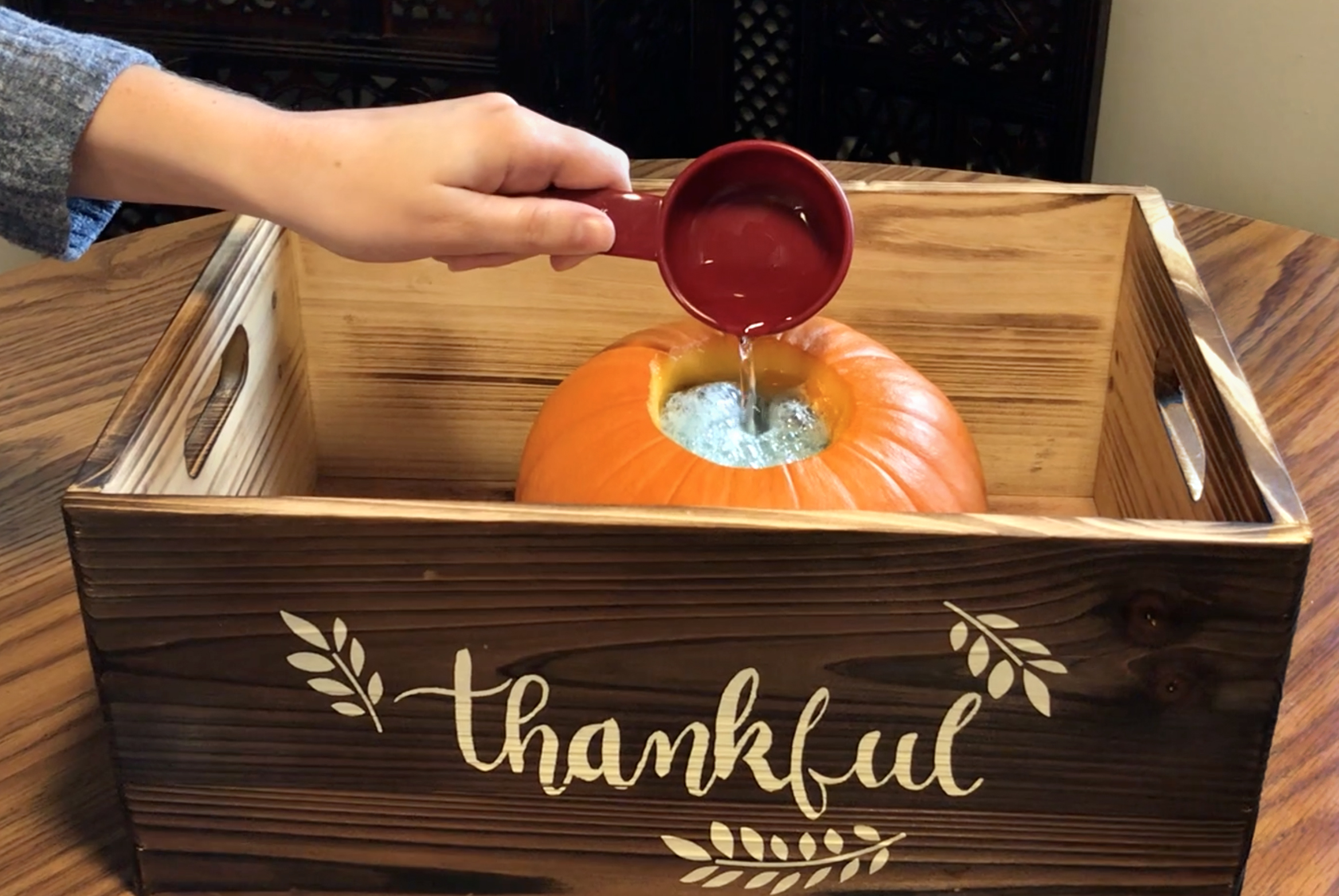 Seasonal Science Experiment