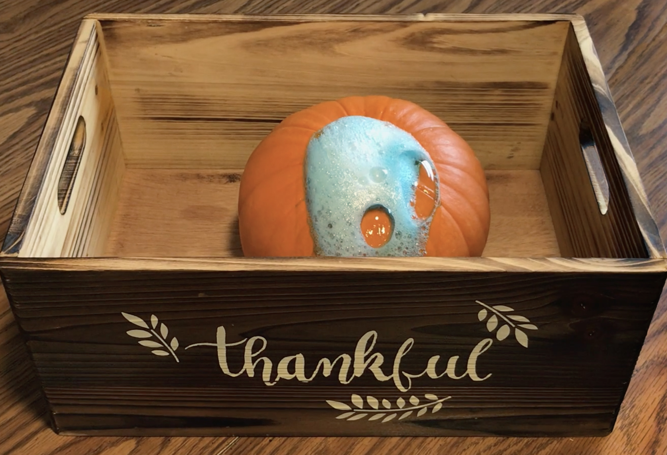 Autumn Science Activity