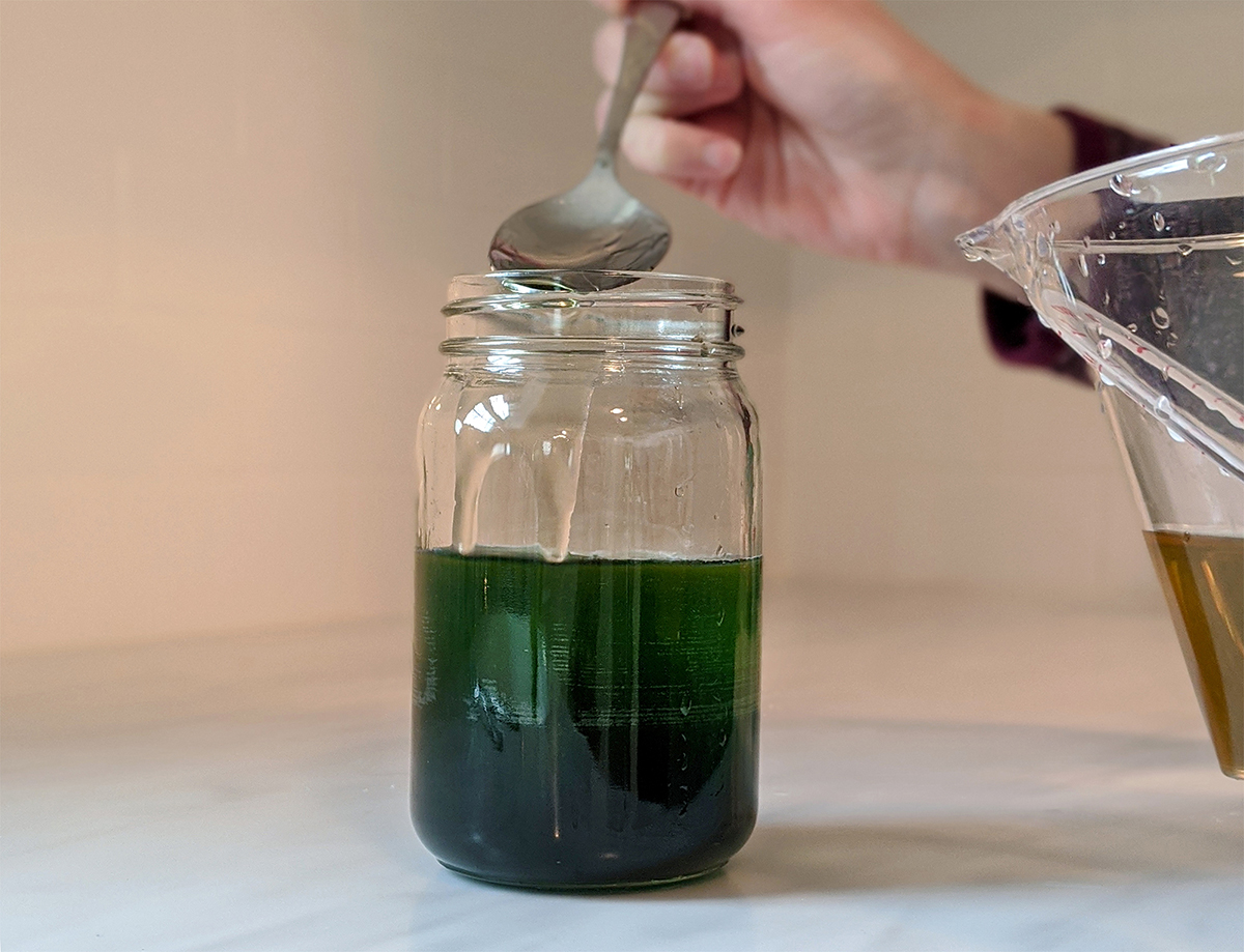 Elementary Science Activity