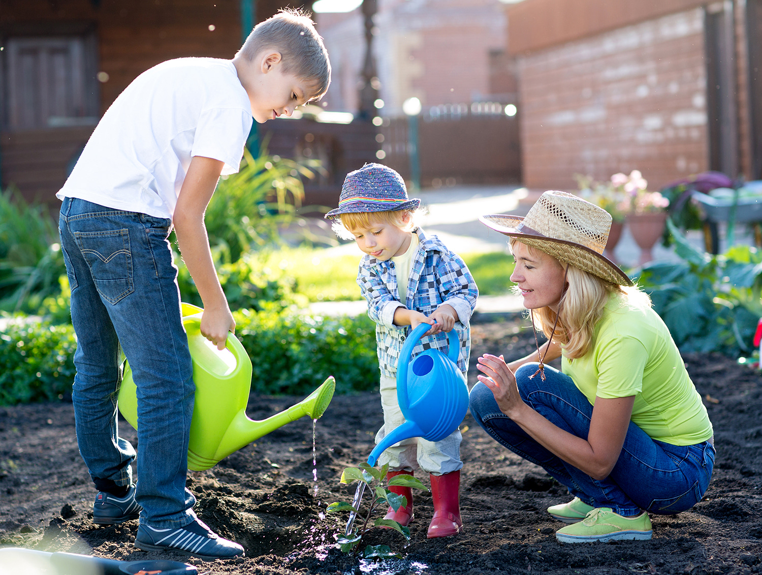 Learn About Math in Gardening