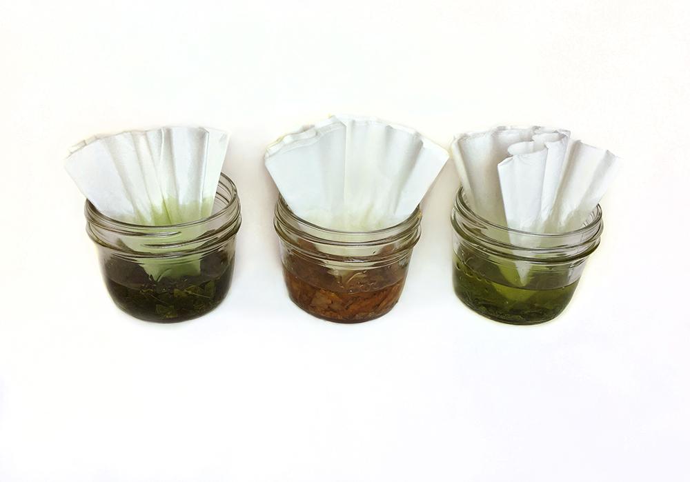Autumn Stem Activity