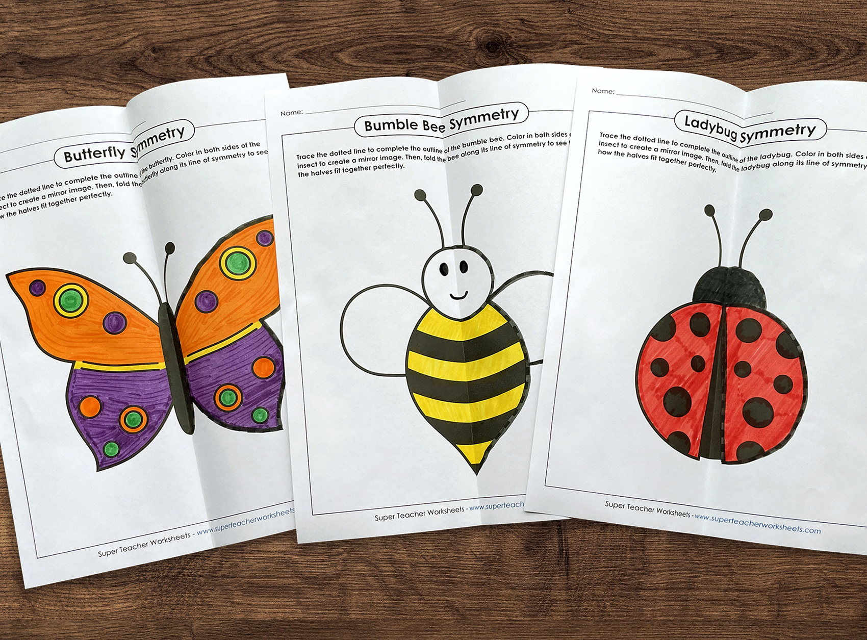Spring Symmetry Worksheets 